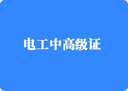 日逼网站下载污污污电工中高级证